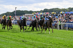 210826-Race 4-Bacio-6197