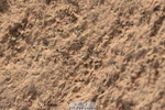 231015A-152534-08958