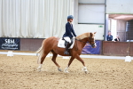 SBM_010313