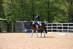 WJ6_8753