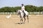 SBM_008547
