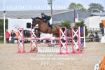 BPP_0785