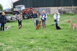Class 2 Best Pedigree portfolio