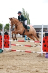 class 8 - Senior British Novice - 90cm portfolio
