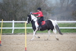 SBM_003798
