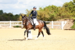 SBM_000742