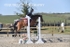 BPP_6903