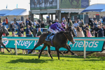 140525-Race 7-Great Bedwyn-3080