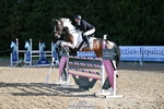 Rider 301 to 309 portfolio