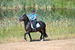 WJ7_8009