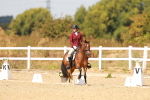 SBM_018623