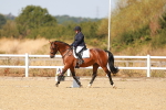 SBM_018006