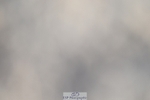 250125-100929-00131