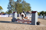 SBM_14041