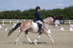 SBM_020917