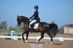 Cls 33 FEI Freestyle Music Pony portfolio
