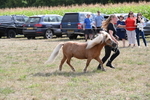 WJ6_6947