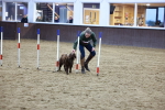 SBM_005622
