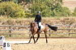 SBM_001678