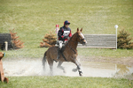 BVHT 140517  IXC -491