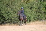 WJ6_6870