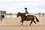SBM_15508