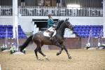 SBM_003731