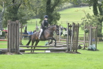 S31 - Novice & Newcomer Working Hunter Pony portfolio