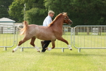 SBM_00399
