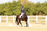 SBM_018378