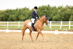 SBM_005340
