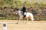 SBM_009308