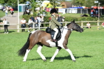 SBM_50379