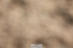 250622-083806-13763