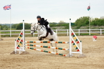 SBM_009132