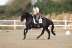 SBM_008588