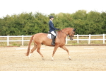 SBM_001652