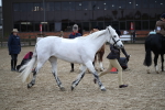 SBM_006208
