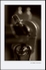 The Millenium Double Bass I