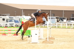 SBM_010151