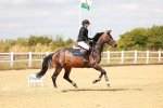 SBM_006636