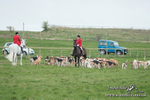Tedworth Hunt PtP Larkhill Raccourse 23rd March 2024 portfolio