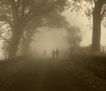 Walkers