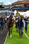300826-Race 5-Harb-1158