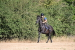 WJ6_6761
