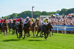 230526-Race 5-Reliable Ricki-7377