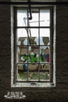 Bailey Mill 16