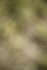 20250831-2300