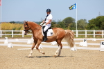 SBM_010782