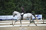 216-Cheryl_Forster-Whitesparke_Royal portfolio